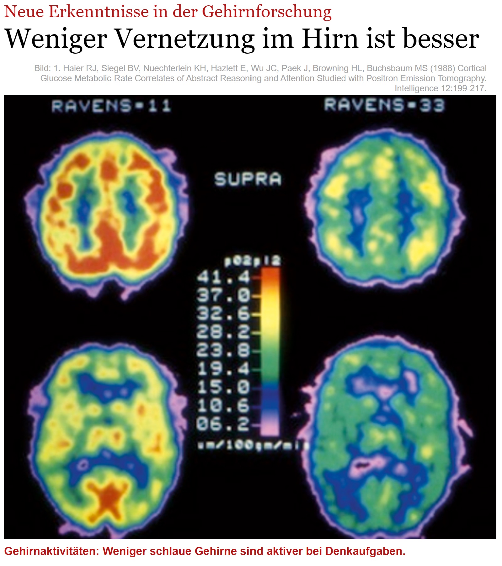 Psychedelika Legalisierung 1