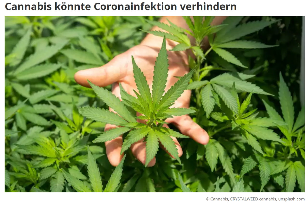 Drogen Vorwort
